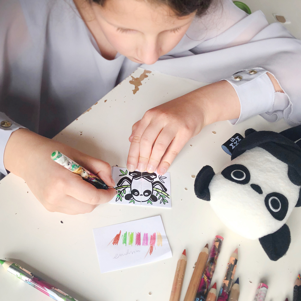 Panda Wielka